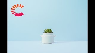 Babies - Kyle feat. Alessia Cara