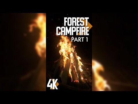 3HRS of Relaxing Forest Campfires for Tablets & Phones - 4K Vertical Screen Video + Fire Sound #1