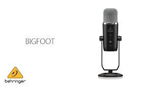 Exceptional Vocals with the New Behringer BIGFOOT