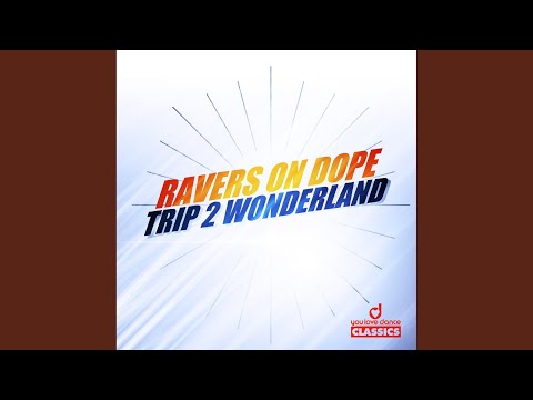Trip 2 Wonderland (DJs @ Work Remix)