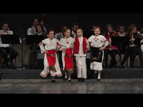 Divan je kićeni Srem - škole folklora