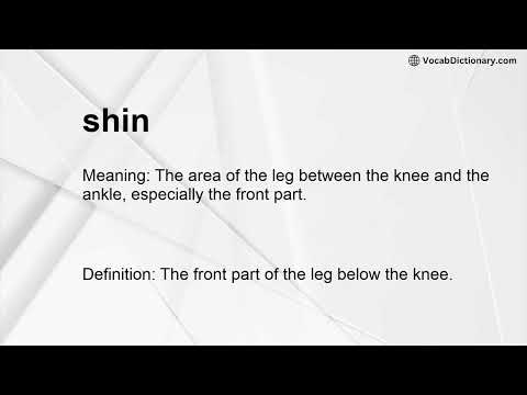 shin Meaning