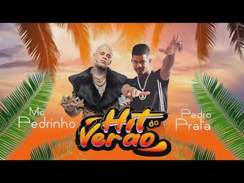 MC Pedro Prata faet MC Pedrinho (hit do verão )- bregafunk