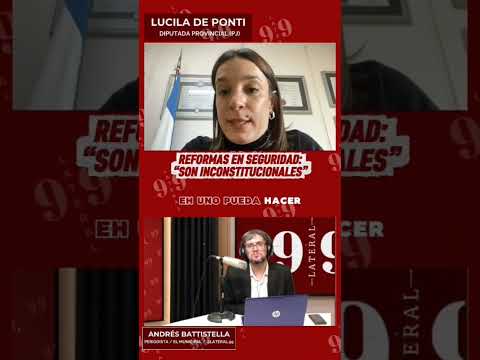 📘 LUCILA DE PONTI: "LAS REFORMAS DE PULLARO SON INCONSTITUCIONALES"