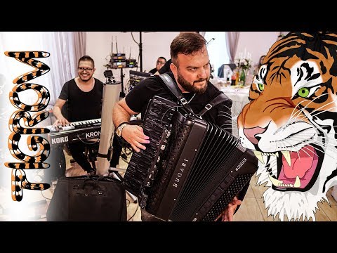 🐯 TIGROVSKI INSTRUMENTAL I KOLO 🐯 - BORKO RADIVOJEVIC & ORKESTAR TIGROVI - Vrsac 2019