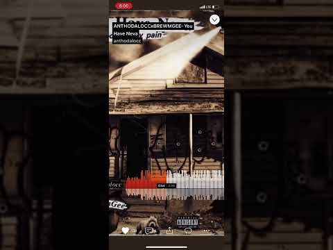 Anthodalocc x Brewmgee- “You Have Neva”