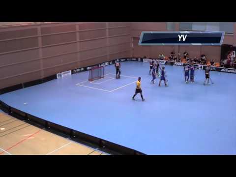 B-POJAT SM-KARSINTA 23.8.2015: Erä B-Edustus vs. Happee Moose, maalikooste