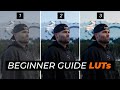 How Yo Use LUTs On Your Videos The Beginner Guide
