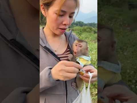 Seeing her mother return with a bag of fruit, Le Le excitedly ran over to greet her.