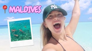 I went swimming with sharks!! bucket list moment ✨