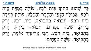 מסכת כלאים פרק ב משנה י