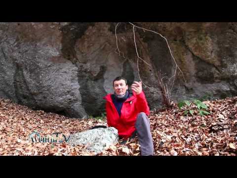 Aventura TV - Raciu - HD  - www.columnatv.ro