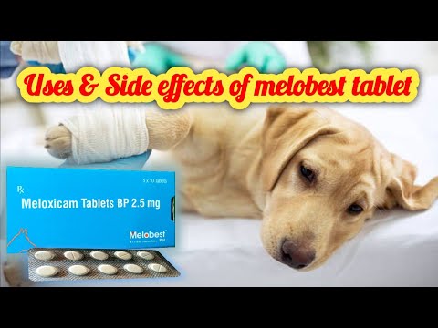 MELOXICAM TABLETS FOR VETERINARY, Strength: 2.5mg