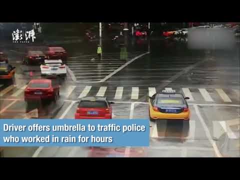 Heartwarming: Driver offers umbrella to traffic police who worked in rain for hours