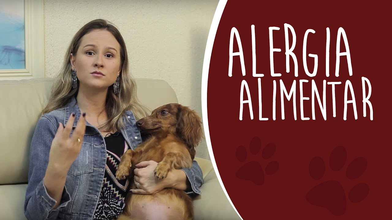 Alergia Alimentar Canina