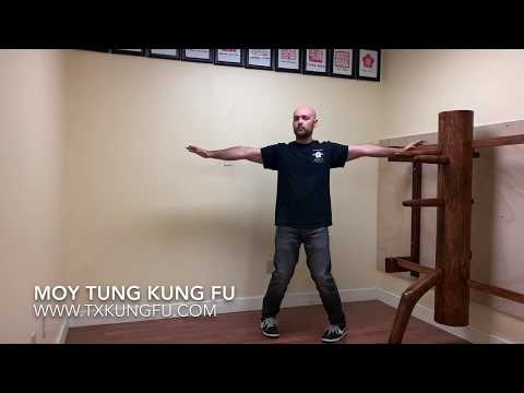 Ving Tsun (Wing Chun) at Home Workout - 1 -  Houston, TX