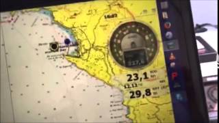 X Factor by H3o Yacht Design, first miles