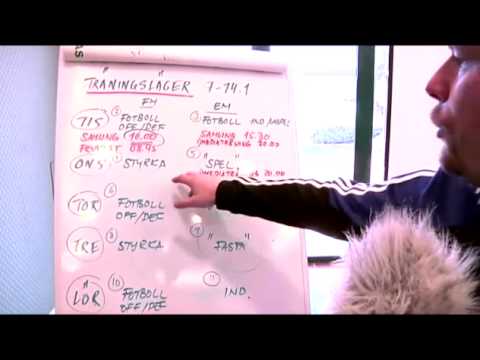 Mikael Stahre om träningslägret