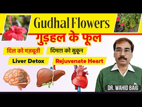 Gudhal Flower | Good Remedy for Liver, Brain and Heart