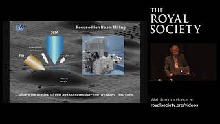 Investigating the structure of molecules inside cells