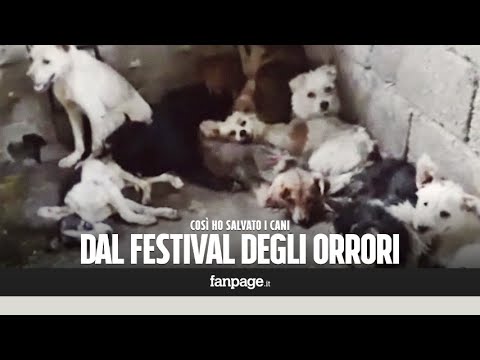Alcuni medici hanno a osteocondrosi Rimozione trachelism osteocondrosi