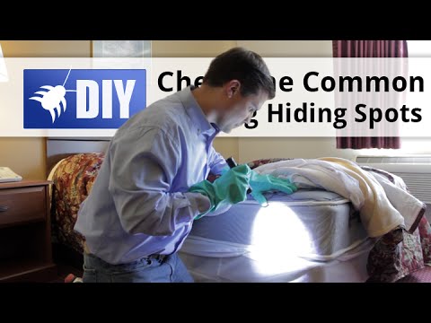  Bed Bug Inspect Step 2 Major Pest Guide Video 