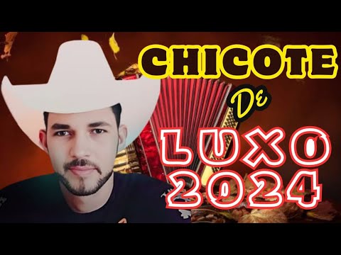CHICOTE D` LUXO FORRÓ NA ROÇA 2024 AS MELHORES