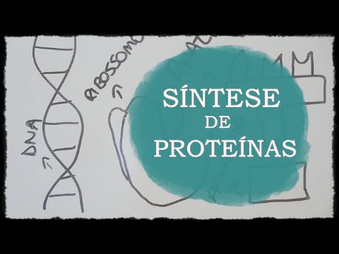 Síntese de proteínas