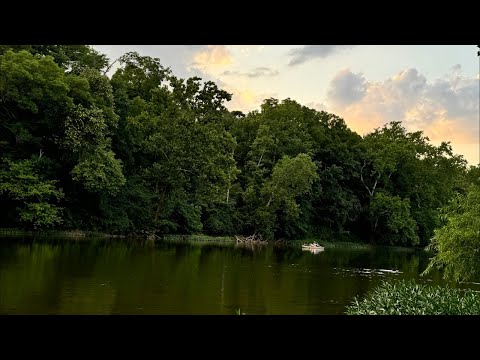 Antrum park walk #nature Daily family vlogs pets vlogs funny vlogs Life in america