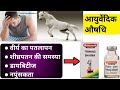 Triwang Bhasma Benefits And Uses Baidyanath Triwang Bhasma Ayurveda Hindi