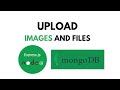 How To Upload Image In MongoDB Database Using Node And Express Js Store Image In Mongodb Database