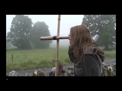 Des murs et des hommes - Canal Alpha