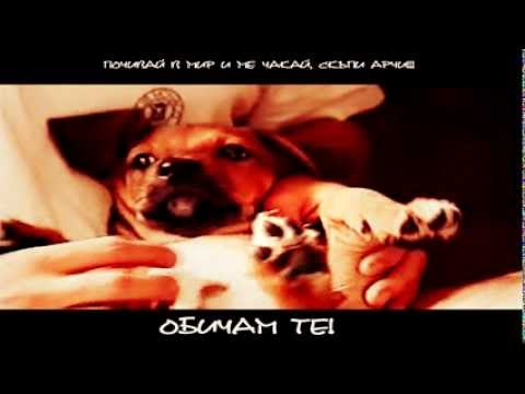 BATE SASHO - KOGAT OCHITE SI ZATVORYA (ZA ARCHI)