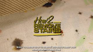 Do bed bugs leave blood stains on walls