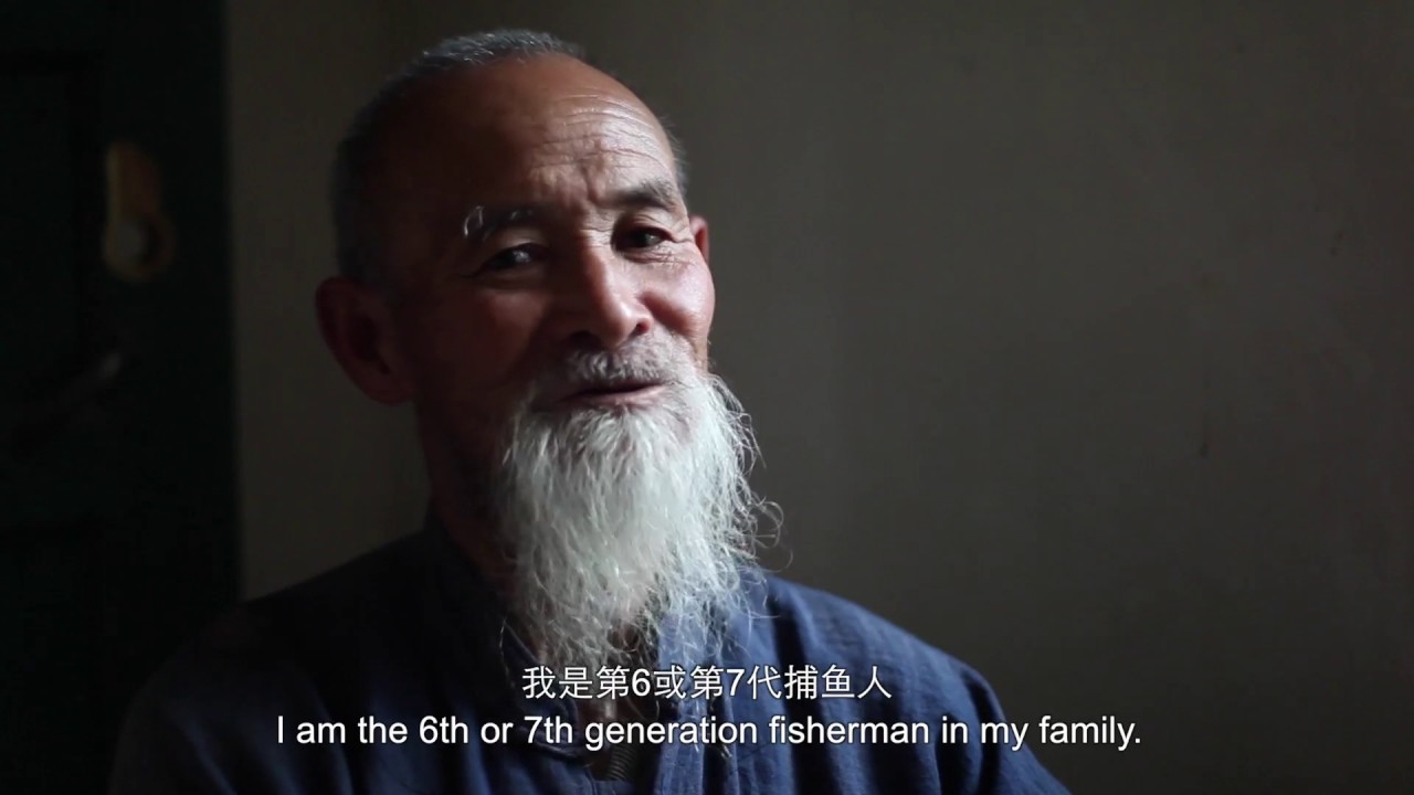 Flight of the Fisherman