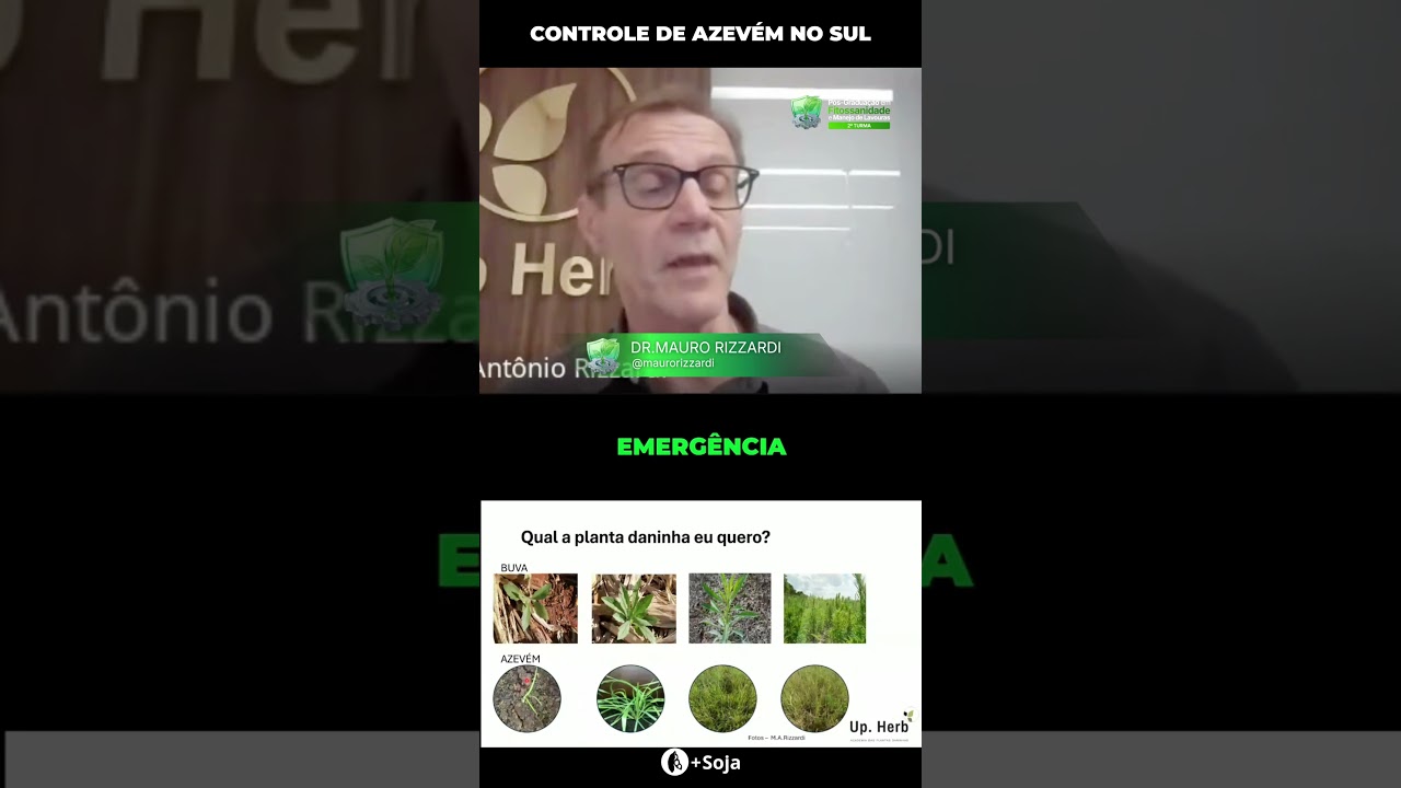Azevém: Controle Eficaz na Região Sul