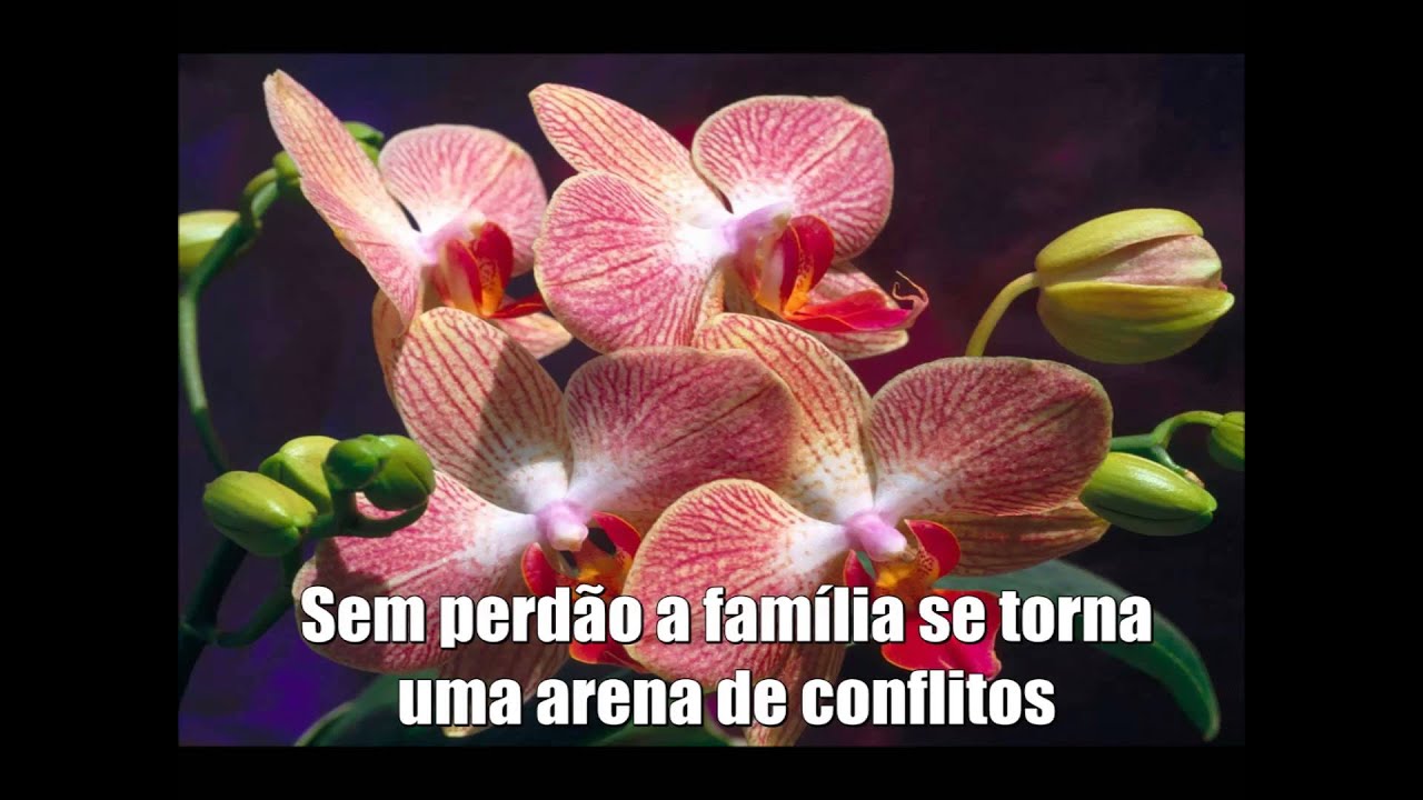 Família Lugar do Perdão - Papa Francisco