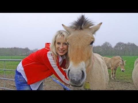 #162 Cuddling lambs, Hof van Saksen, horses, mummies and cycling tour in Drenthe