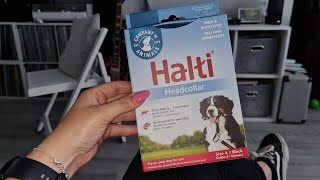 Halti Head Collar Review