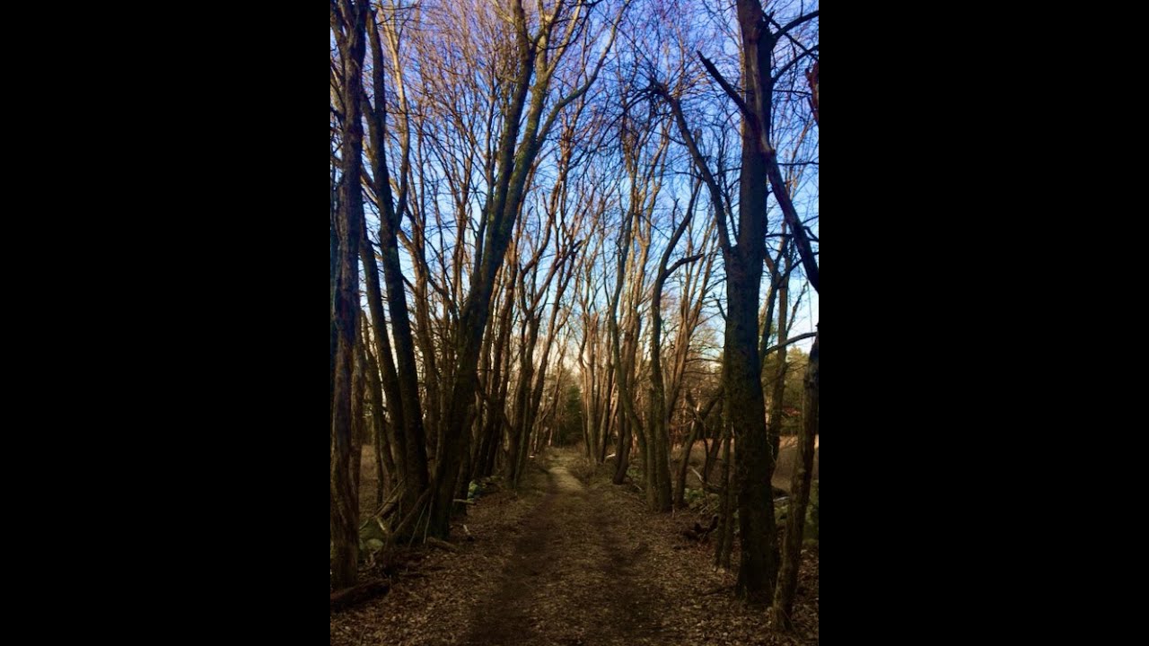 Sharon - Poor farm - Moose Hill