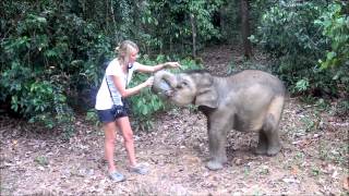Feeding one hungry little baby elephant, Bona