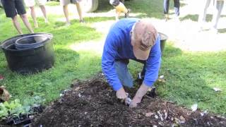 John McCarley Organic Gardening Cardboard Magic!