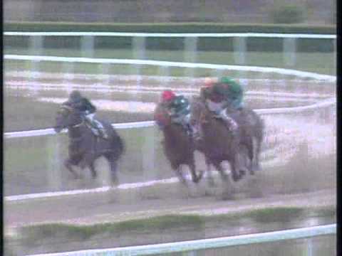 Alfkona II. Káposztásmegyeri Díj