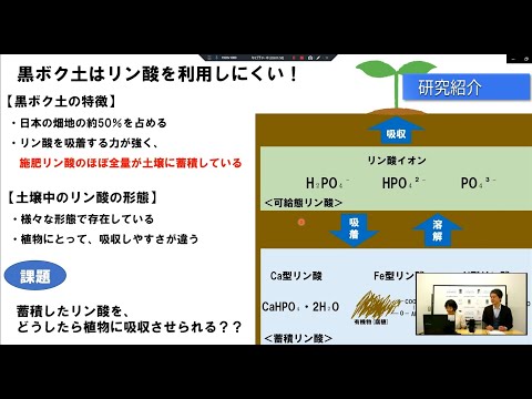 微生物の力で蓄積リン酸を植物が使える状態に！　応用生物科学部研究紹介vol. 1　農芸化学科