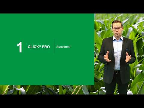 Unkräuter und Hirsen im Mais bekämpfen mit Click Pro