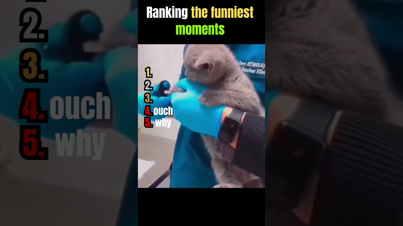 Ranking the funniest moments #28