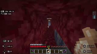 [世廻　万葉生]マイクラ　ツナファミクラメンサーバー　のんびり開拓
