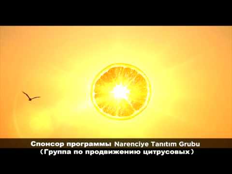 Turkish Citrus / Mediterranean Sun - Турецкие Цитрусовые / Солнца Средиземное море