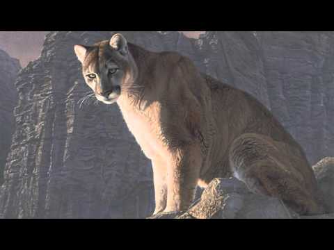 Reign & King Astma - Gluttony