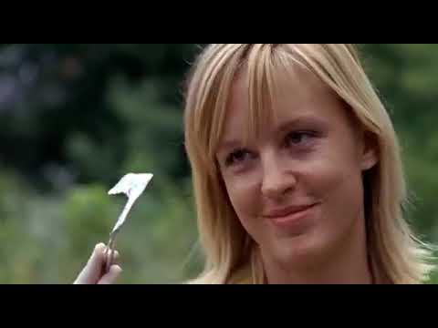 Soko Wien Folge 33   Gestrandet